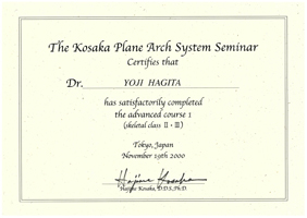 The Kosaka Plane Arch System Seminar